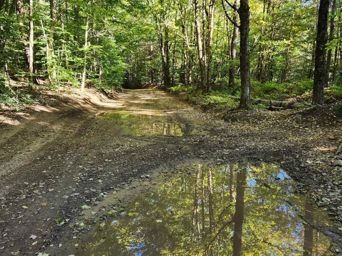 Military Road photo 2