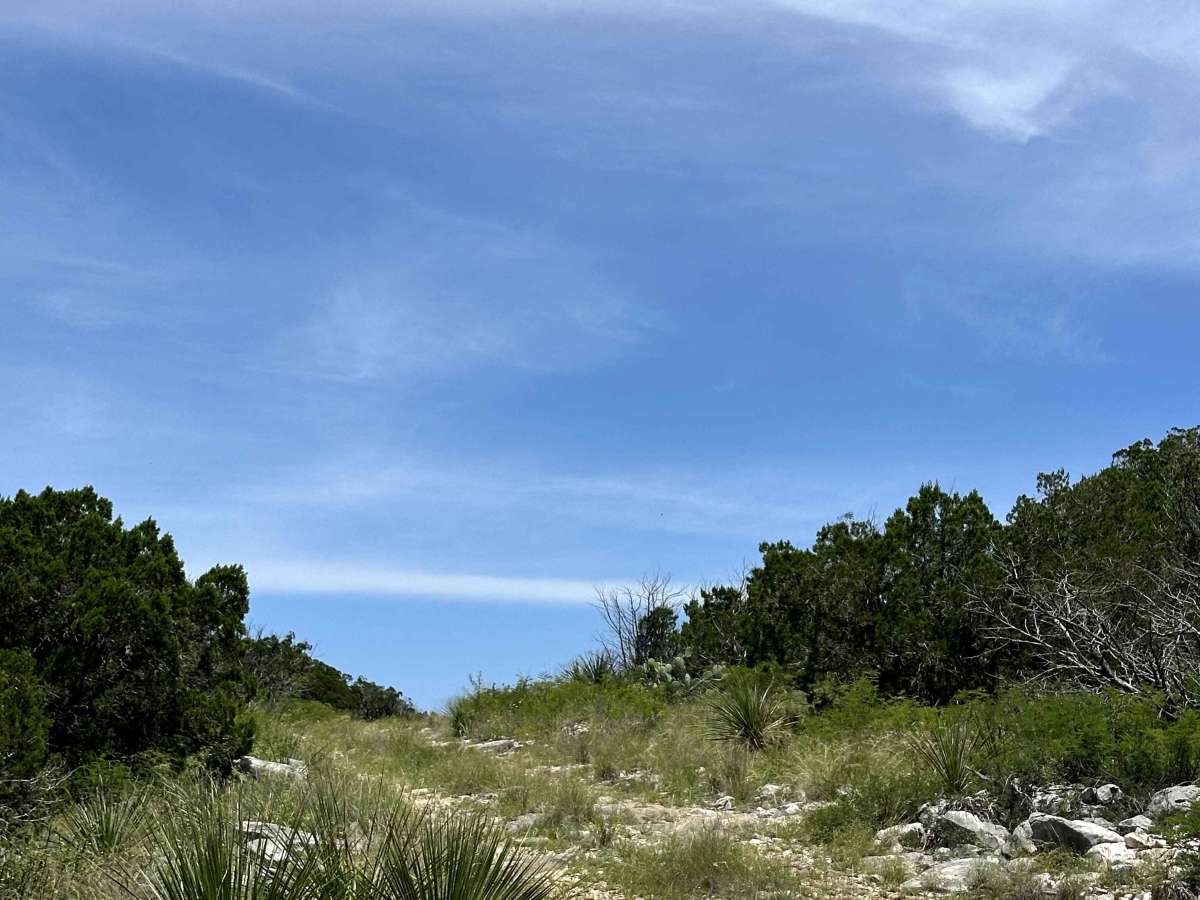 Tower Trail photo 6