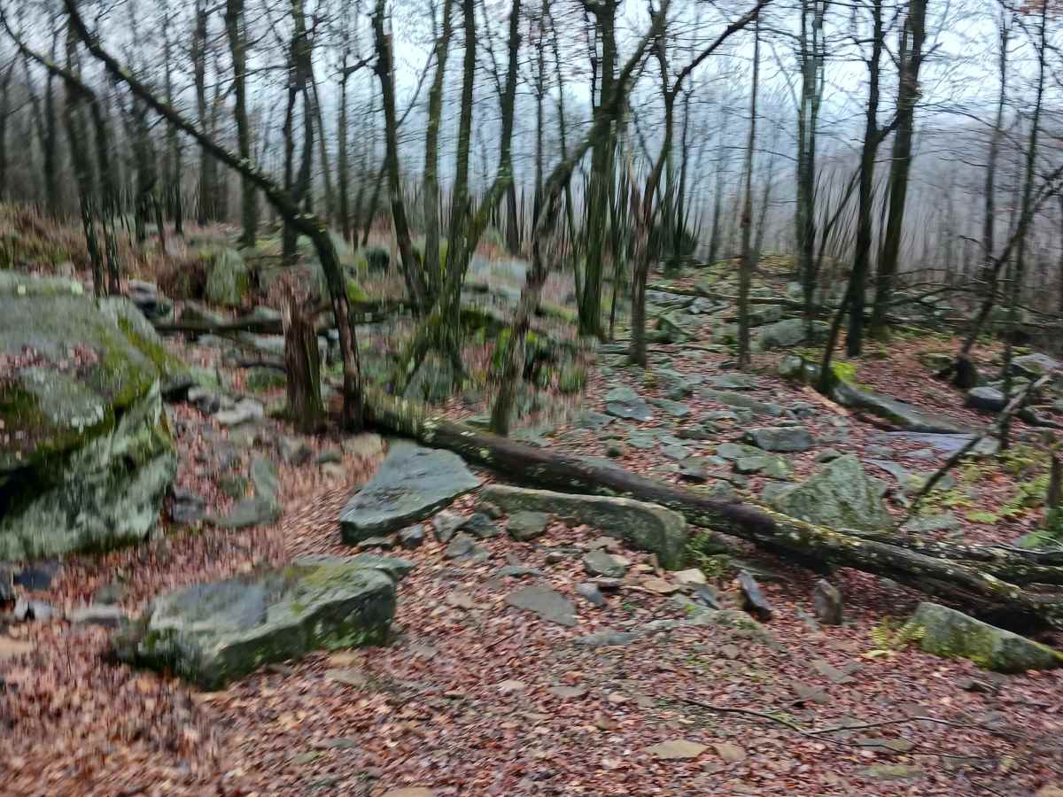 OHV 34 - Rock Run Recreation Area trail photo