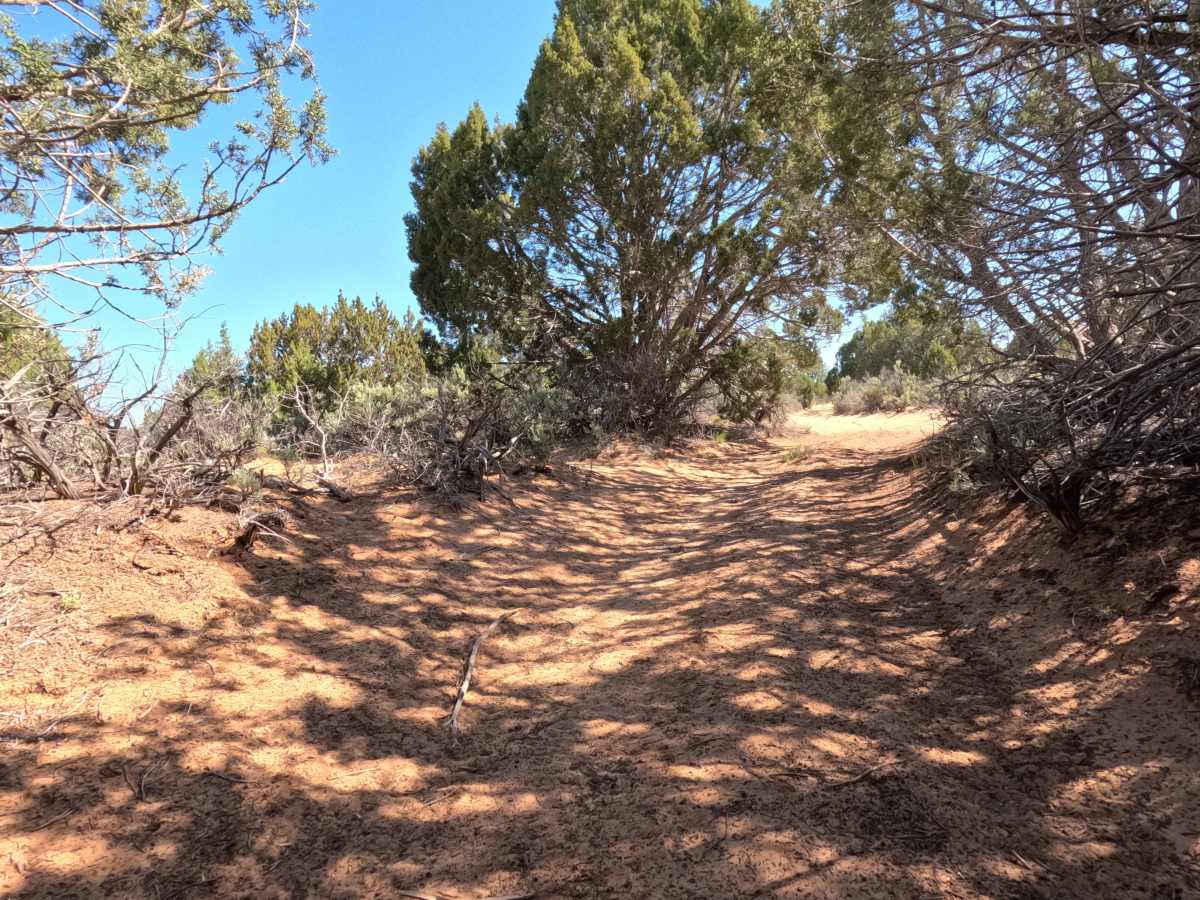 BLM 104H photo 6