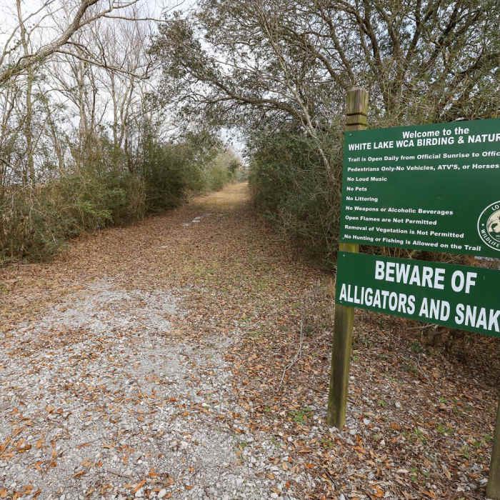 Near White Lake Wetlands Conservation Area Birding + Nature Trail