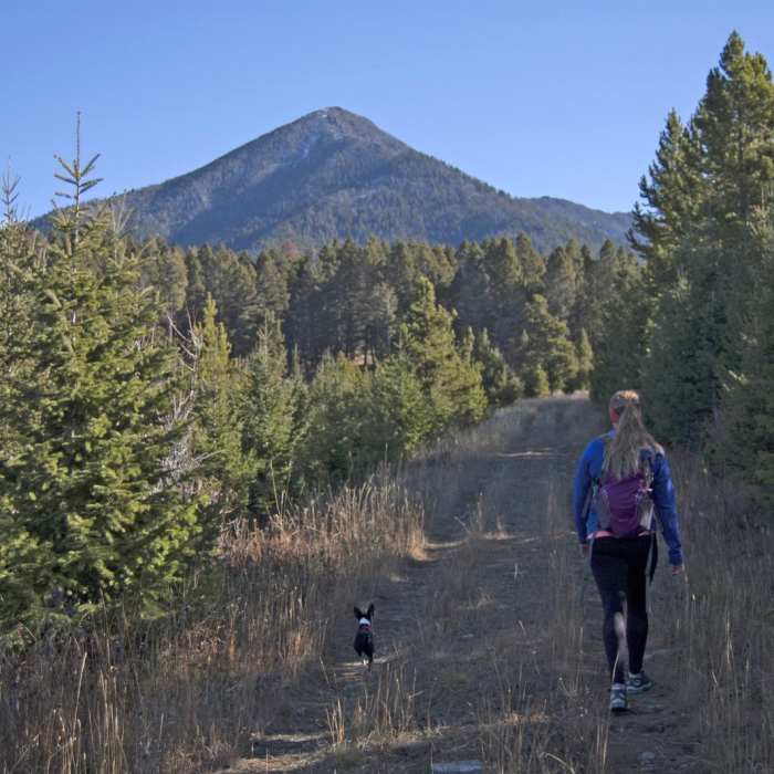 Near Baldy Basin Saddle via West Baldy Basin