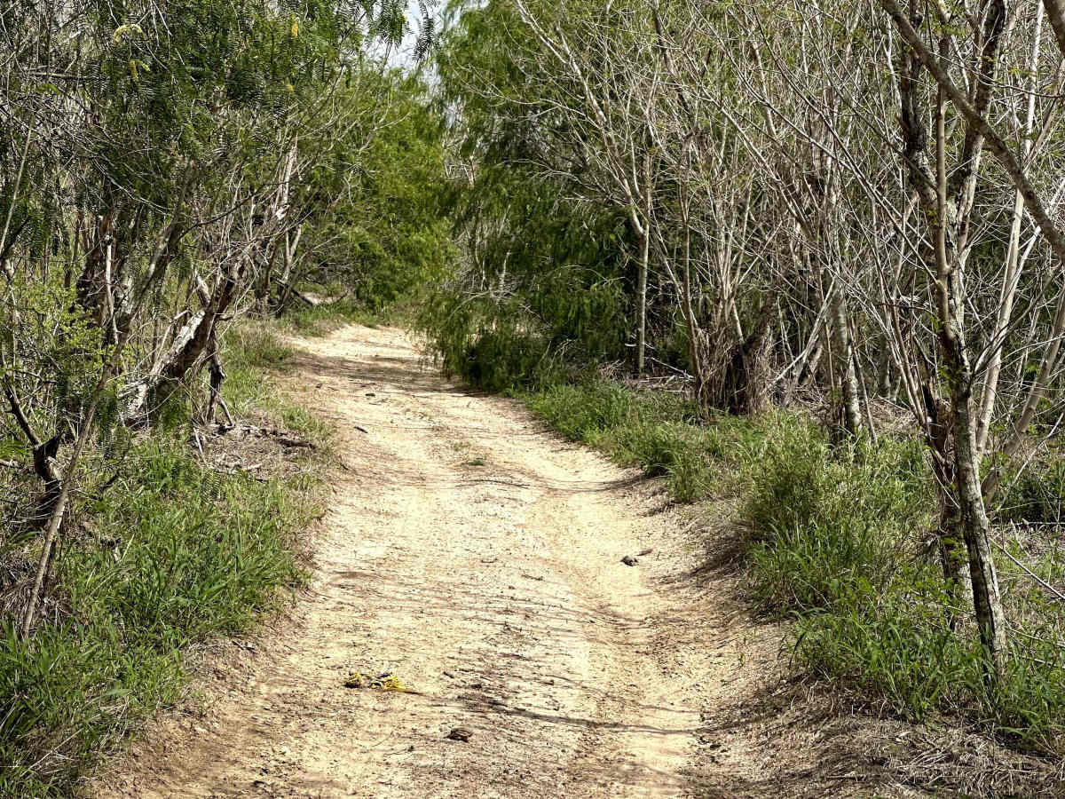 Mosquito Track photo 4