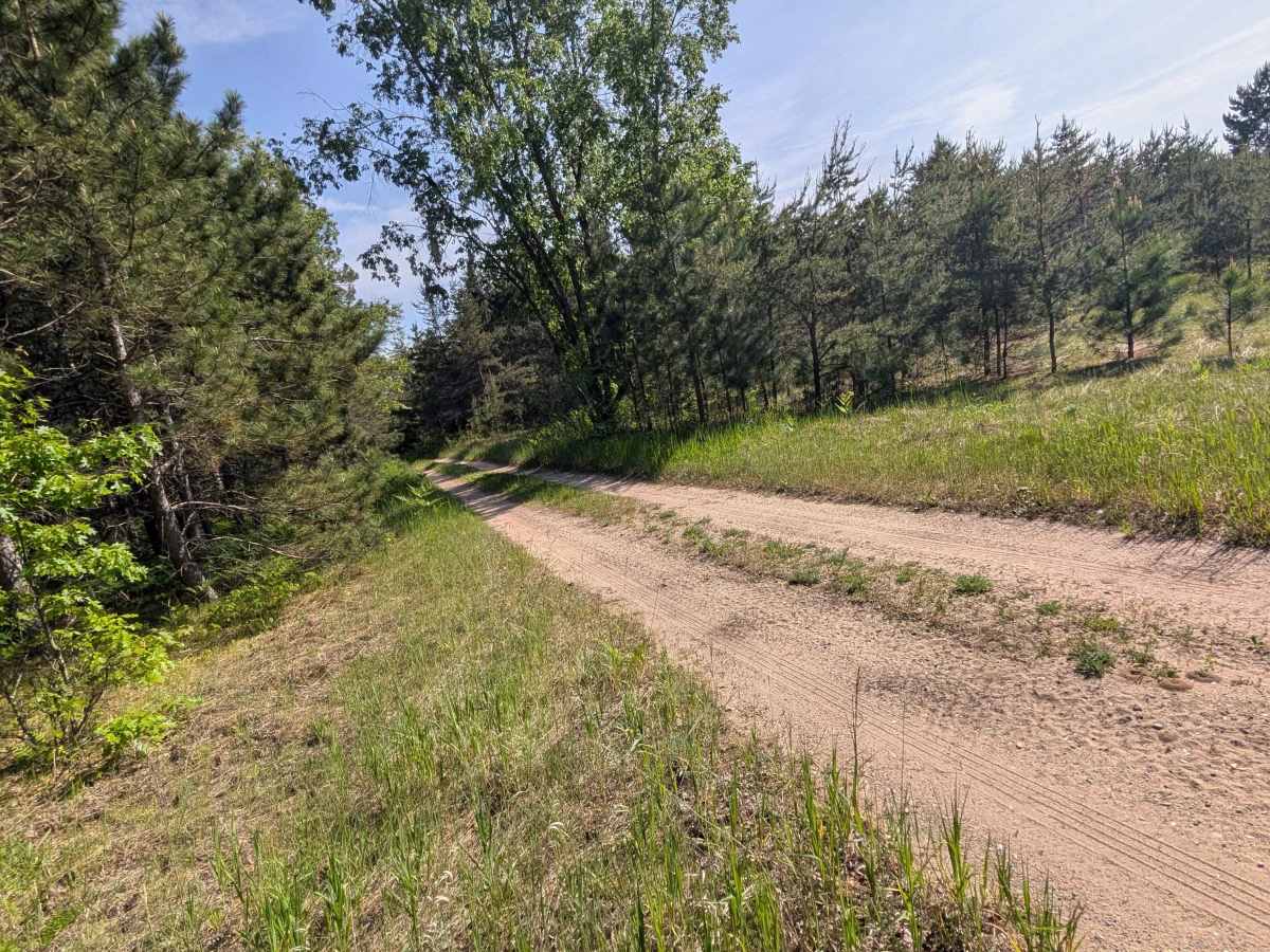 Swamp Camp Trail trail photo