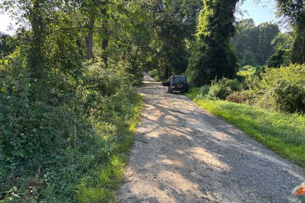 Mitchell - Roosevelt Road
