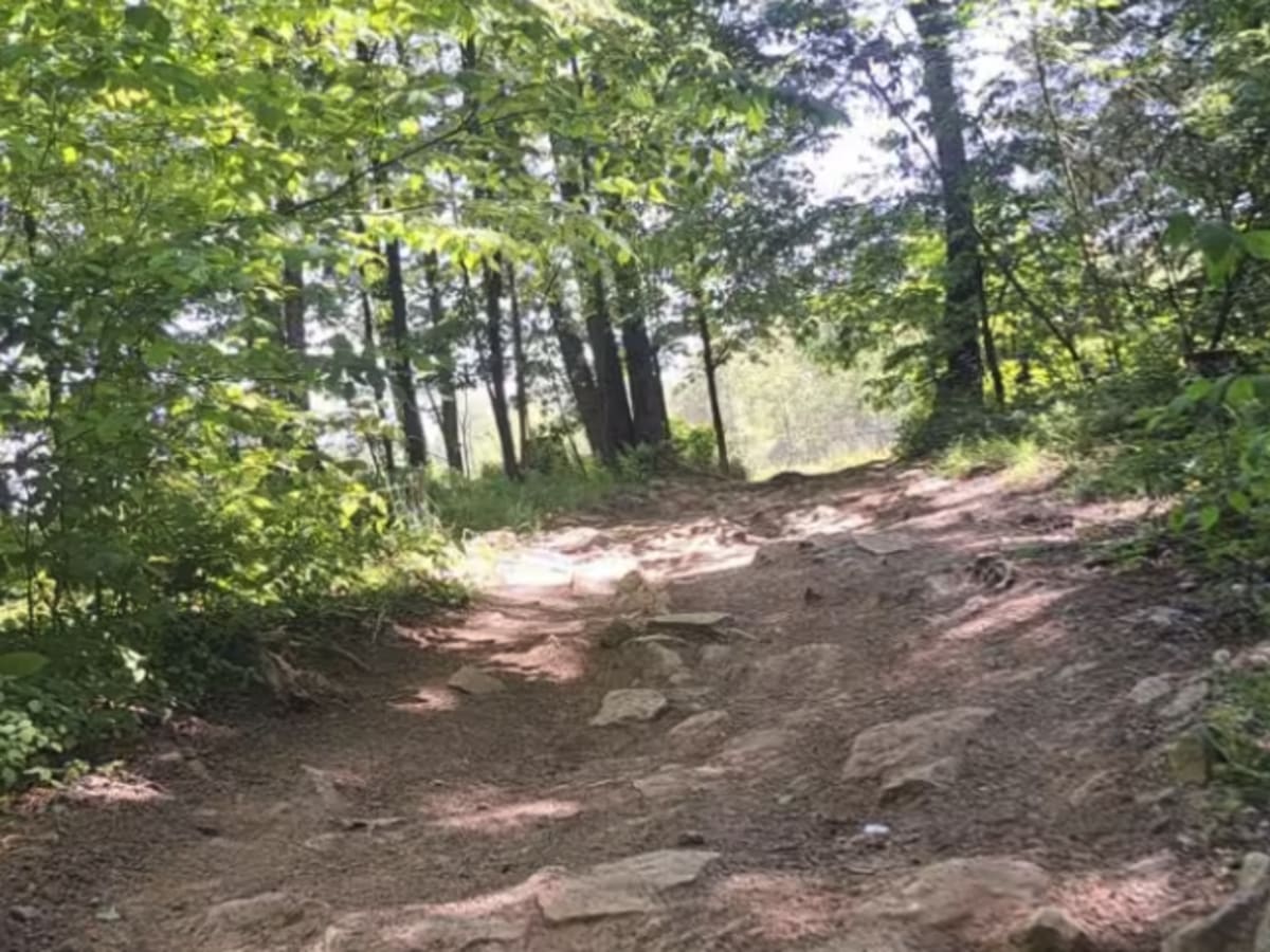 C and D Trail photo 5