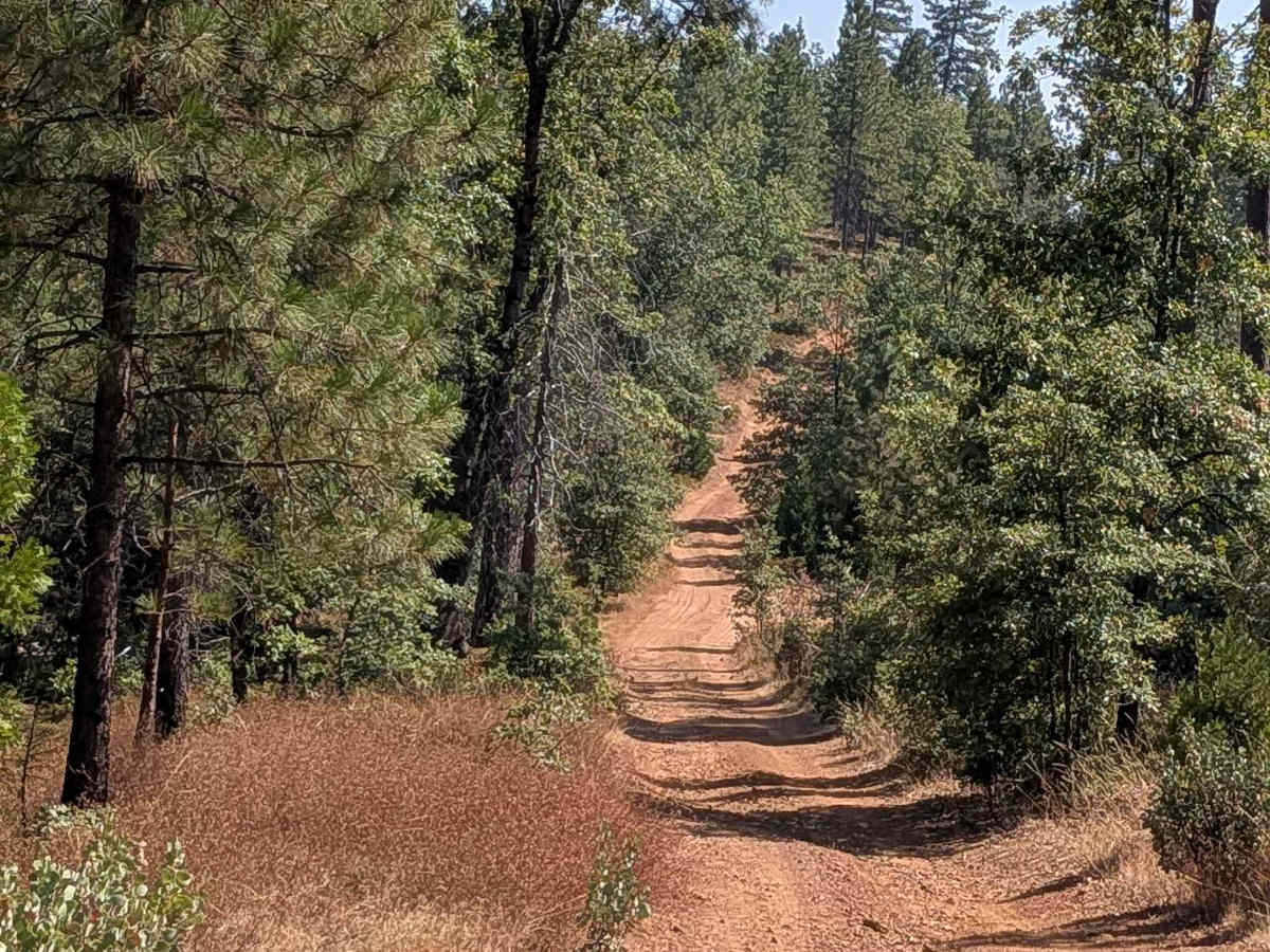 Smith Ridge - FS 1S28 trail photo