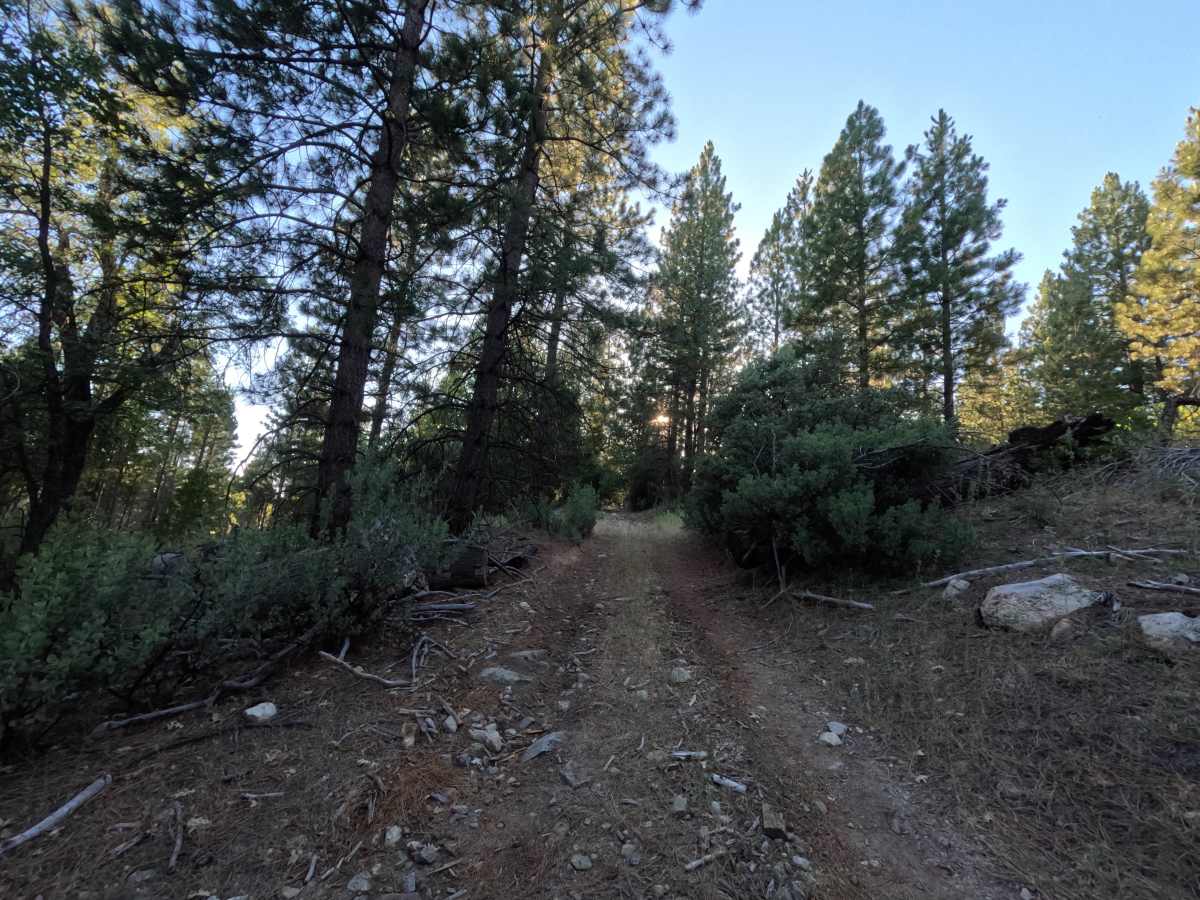 FS 1S20Y trail photo