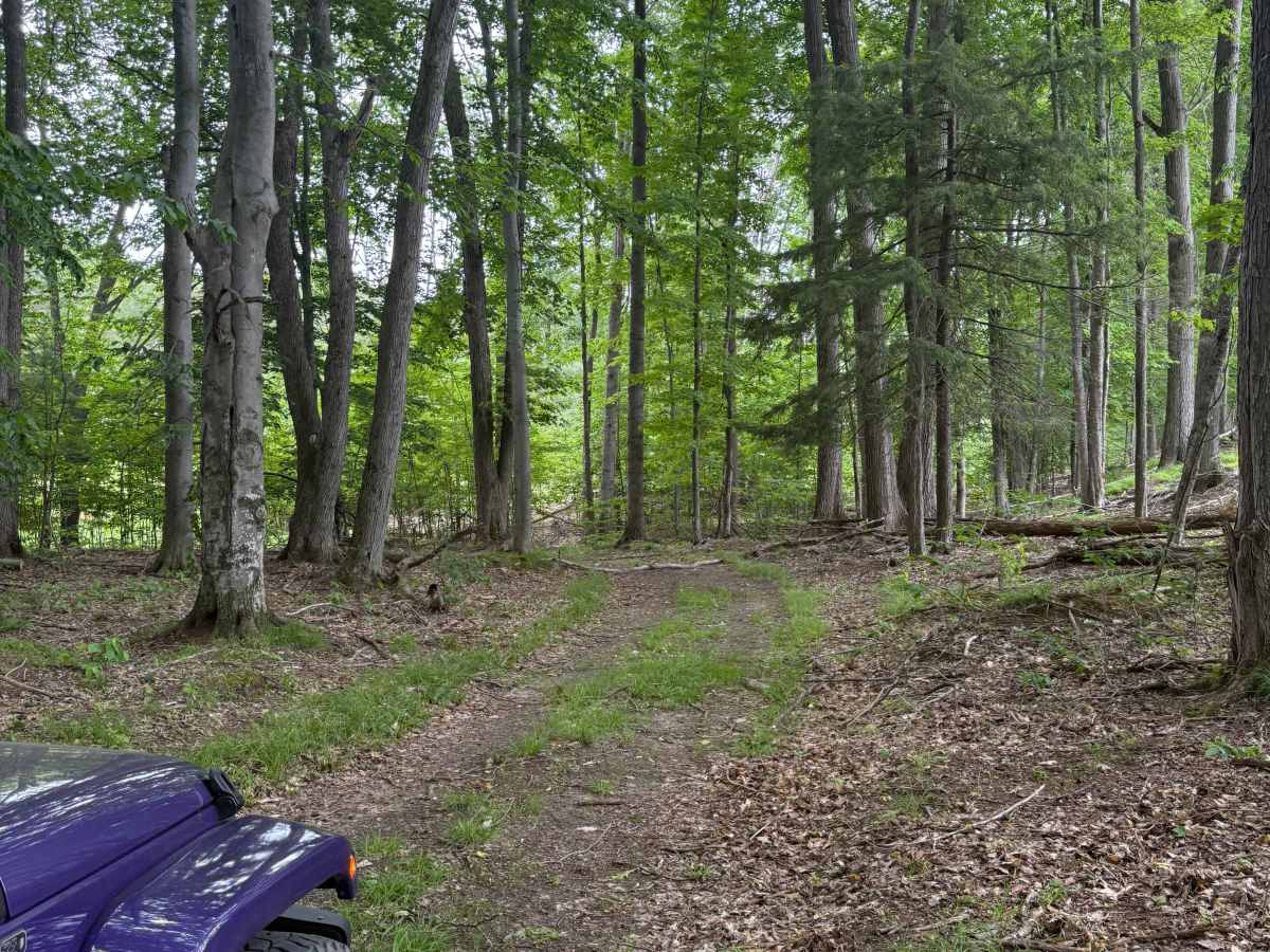 Lackey Trail South photo 6