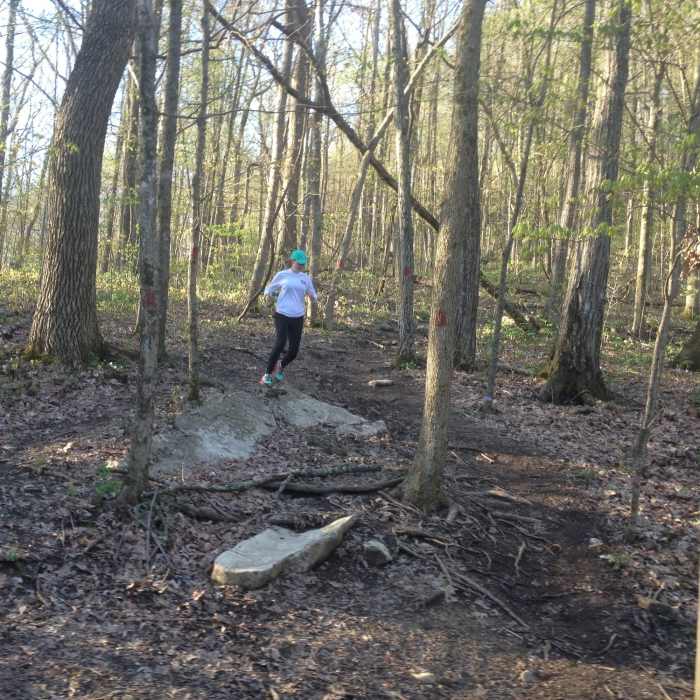 Near North Plateau Loop