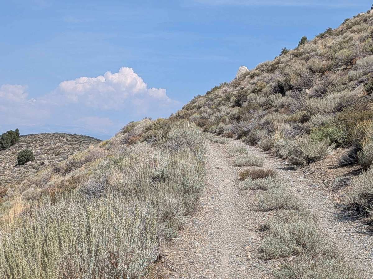 Old Green Creek Road photo 6