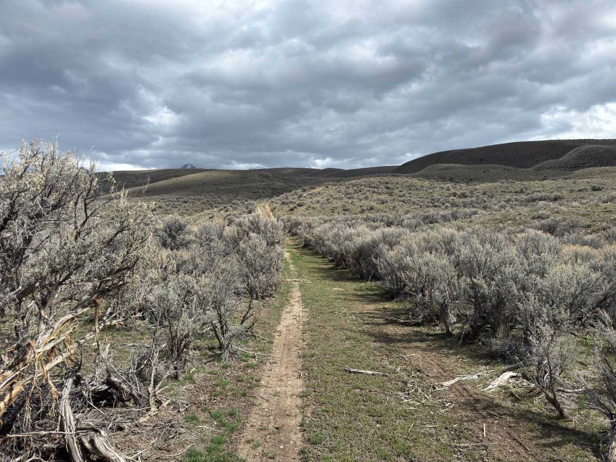 BLM Trail 137 photo 2
