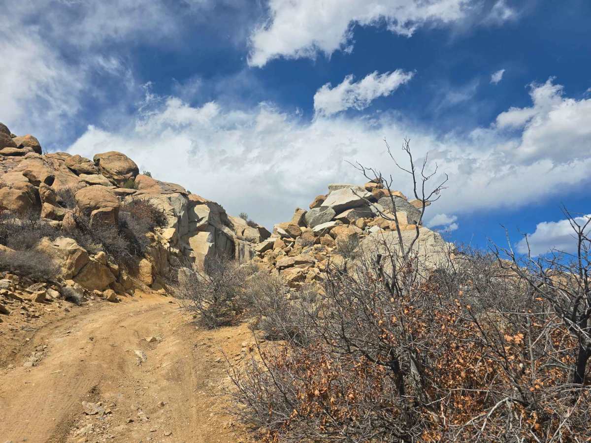 BLM 6108 photo 3