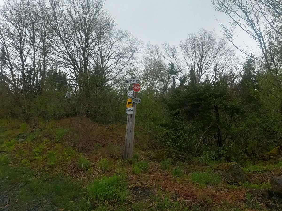 Upper Belmont Road photo 2