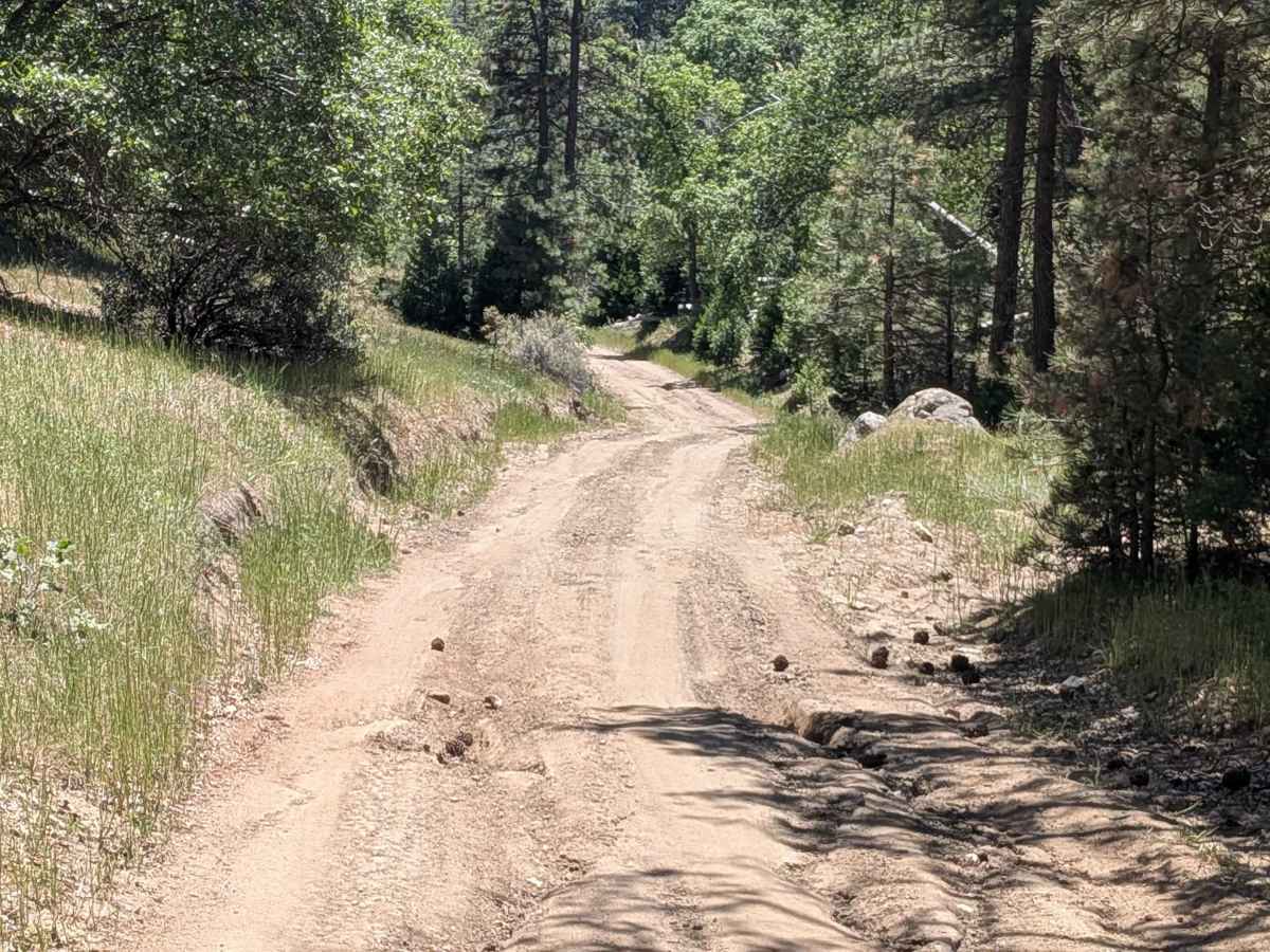 Davis Loop - FS 26S13/26S30 trail photo