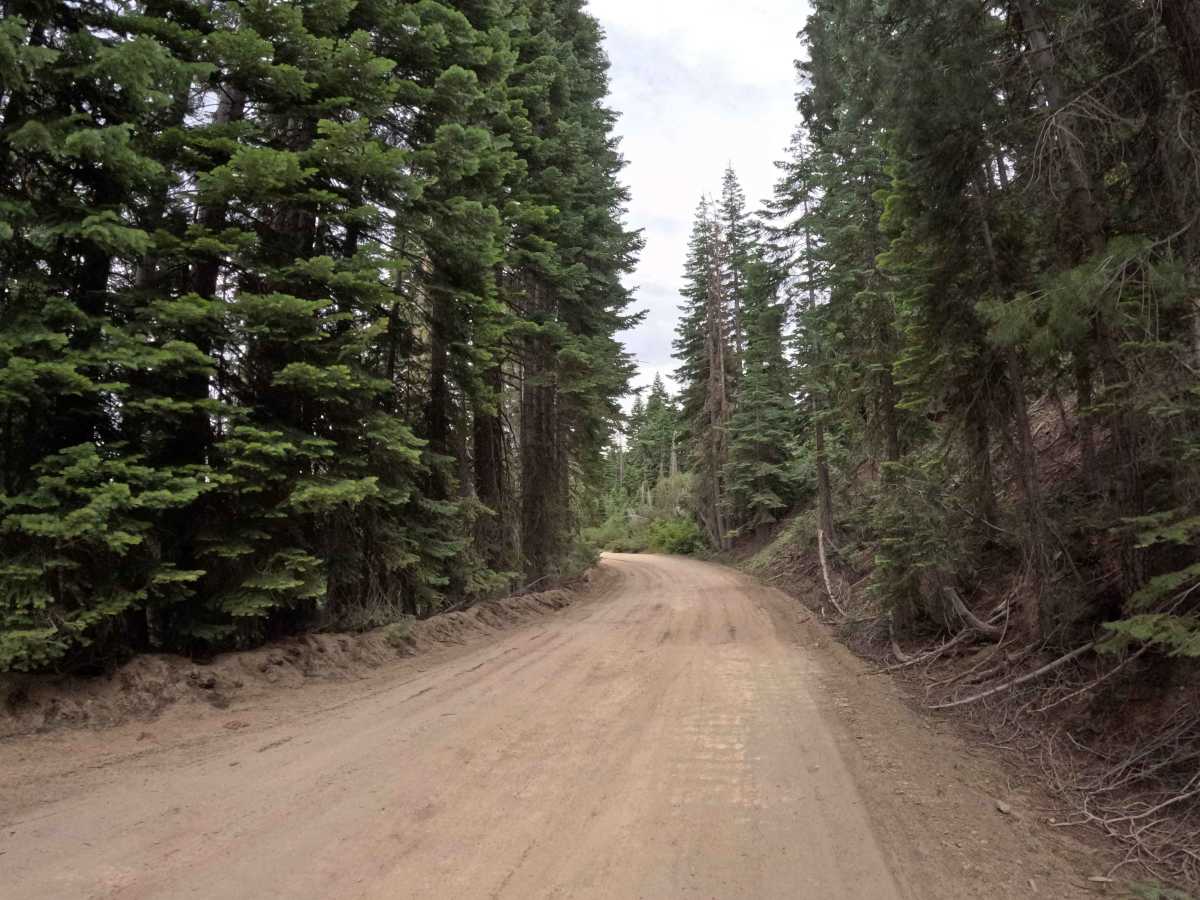 Chapman Saddle - FS 21N09 photo 2