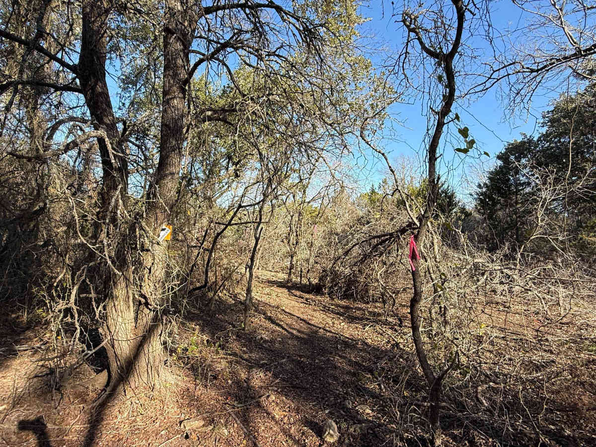 Widow’s Switchback photo 4