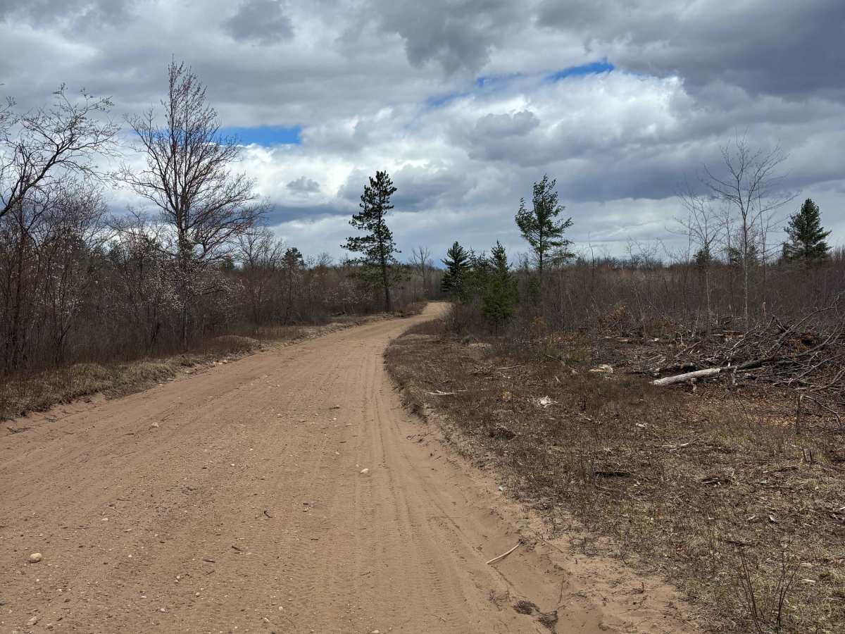 East Butler Rock Road - FS 5556 photo 5