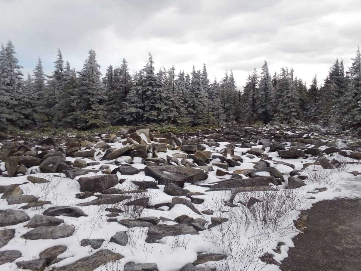 Osceola Spruce Knob photo 2