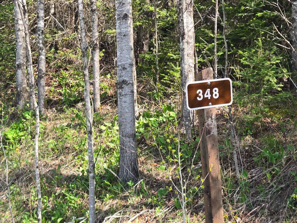 Whitefish Lake Trail trail photo