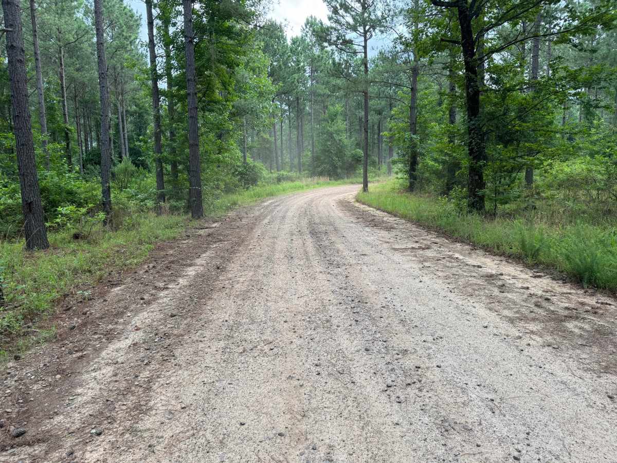 County Road 4430 photo 4