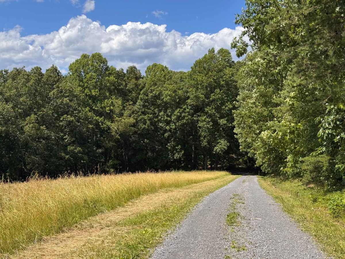 Moss Road - T-318 photo 5