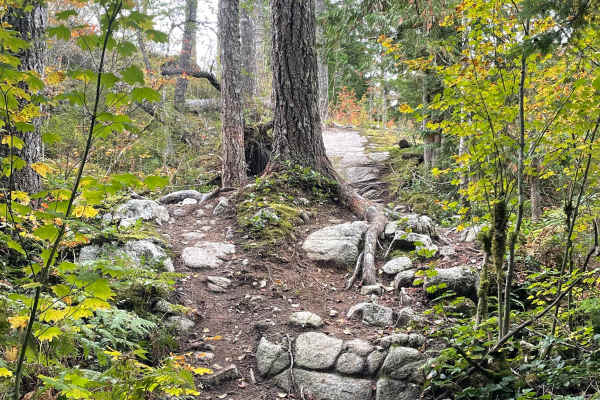 Wolf Trail