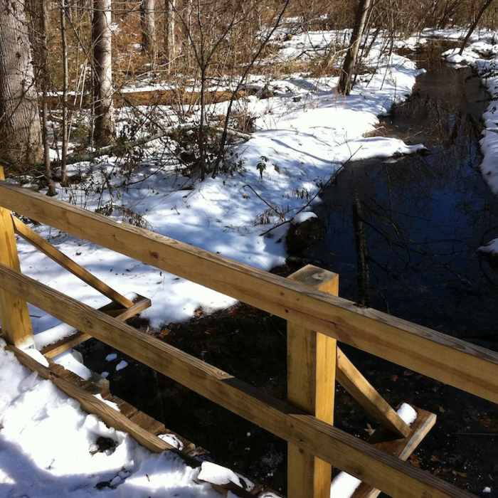 Snow Crossing Near Murphey Candler Park Trail