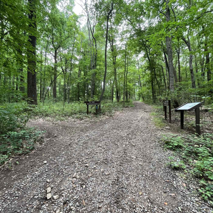 Near Voorhees State Park Loop Near Voorhees State Park Loop