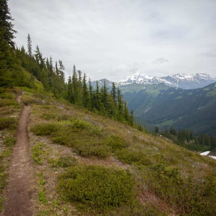 Near White Pass to Pilot Ridge Loop