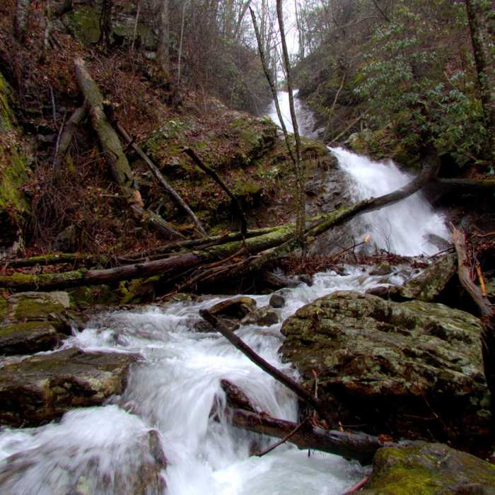 Near Beech Creek Trail to Big Scaly Mountain Near Beech Creek Trail to Big Scaly Mountain
