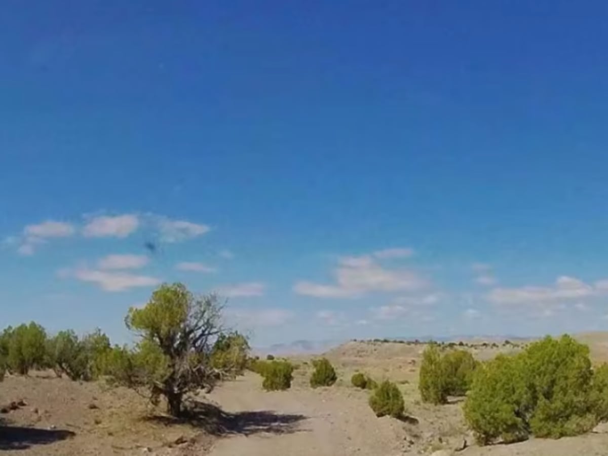 BLM 402 trail photo