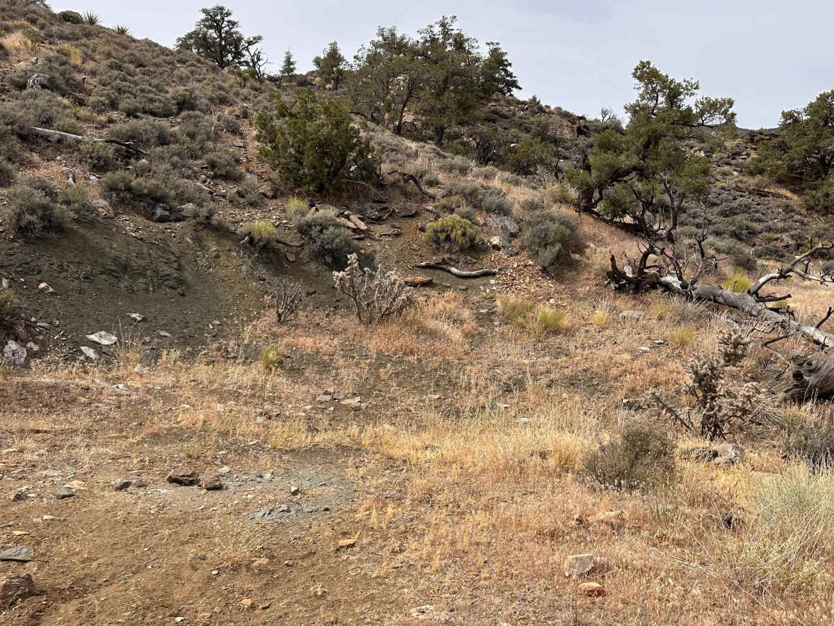 Canyon Cabin Edge Trail photo 4