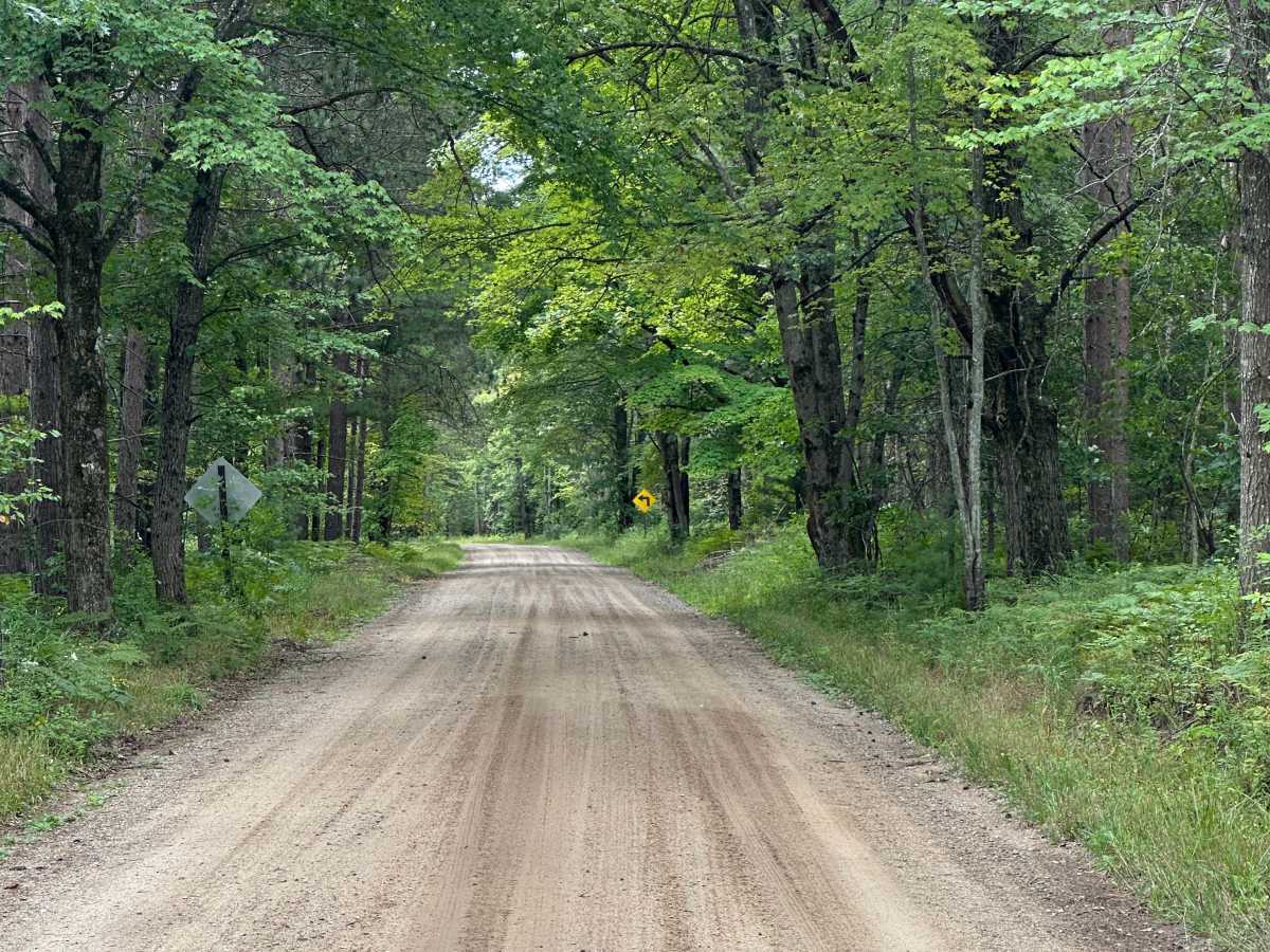 Dorr Road photo 3