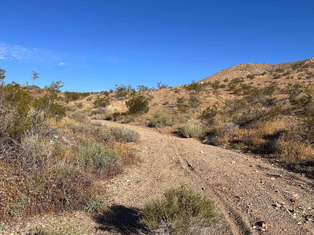 Dust Devil Trail photo 5