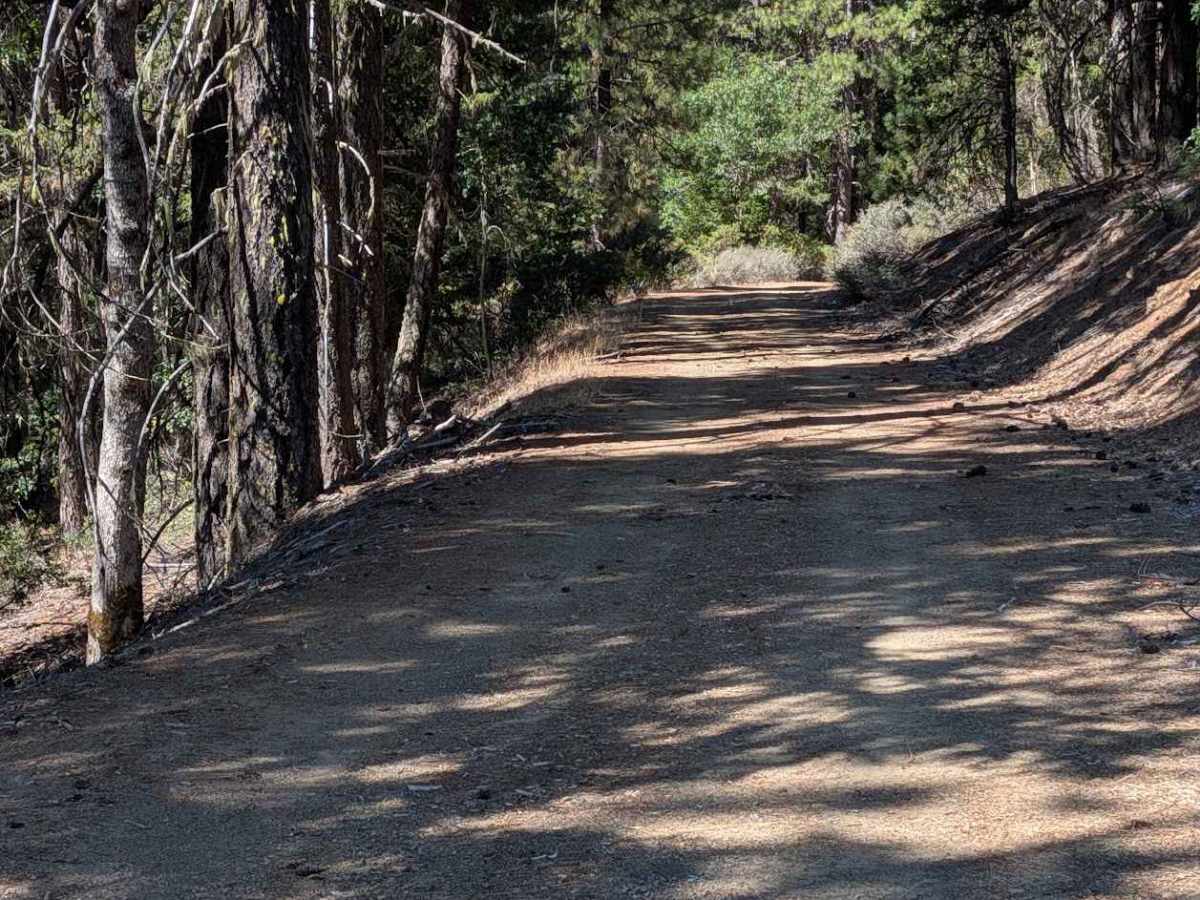 Friend Ranch Road - FS 1N40  photo 4