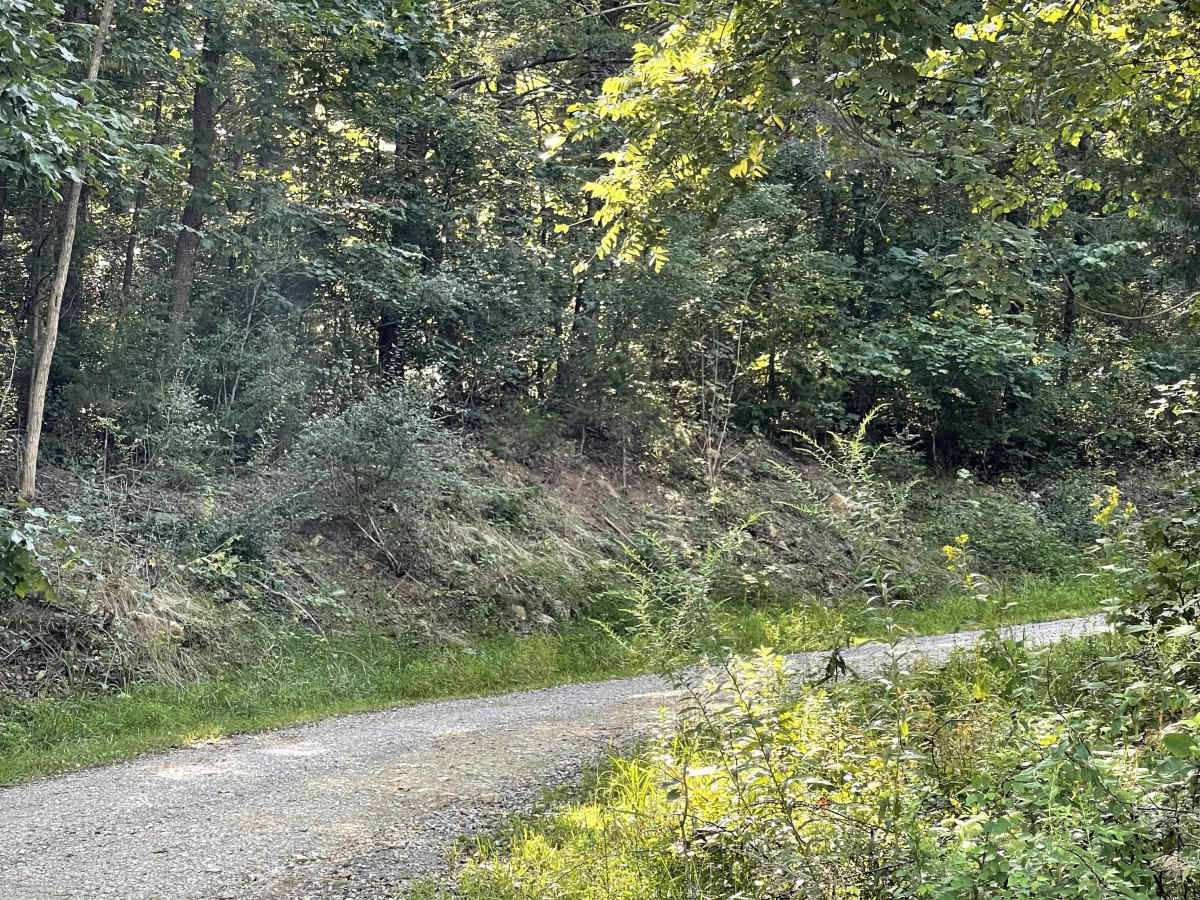 Enterprise trail photo