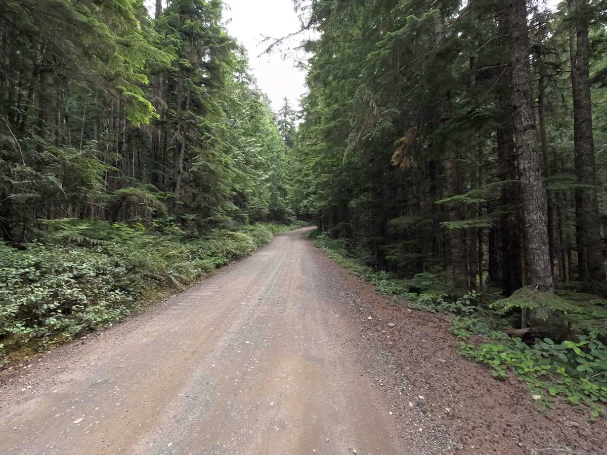 Deer Park Road photo 2