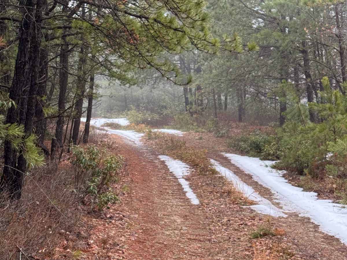 Clendennin Run Road photo 6