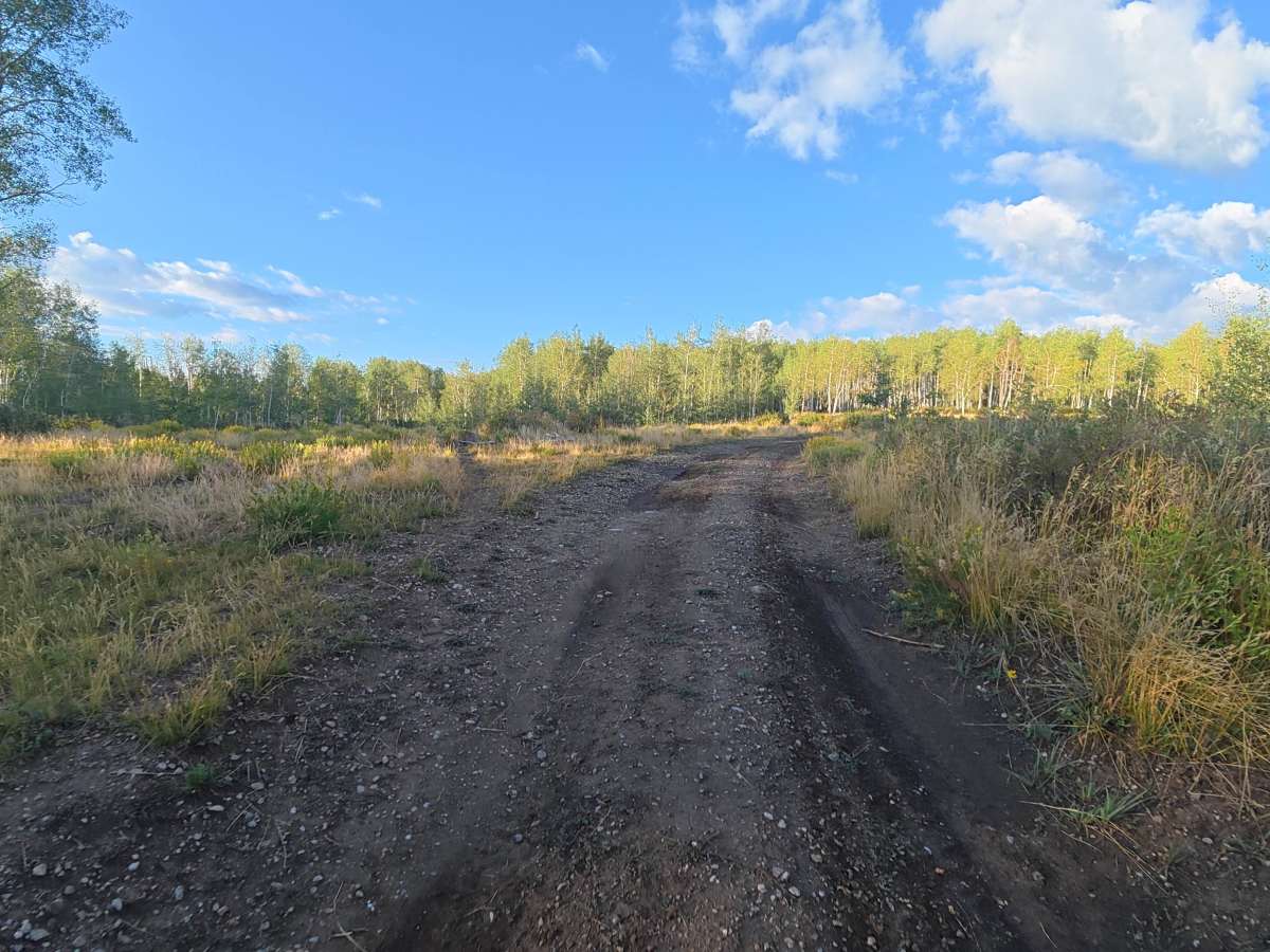 FS 845 trail photo