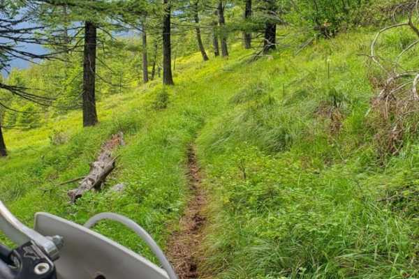 Olson Peak Singletrack