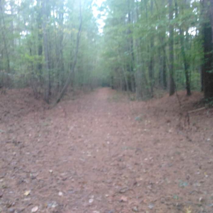 Looking down the trail. Near Eagle Spur Trail
