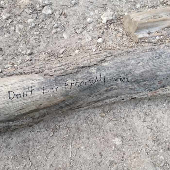 Near Cedar Ridge Loop