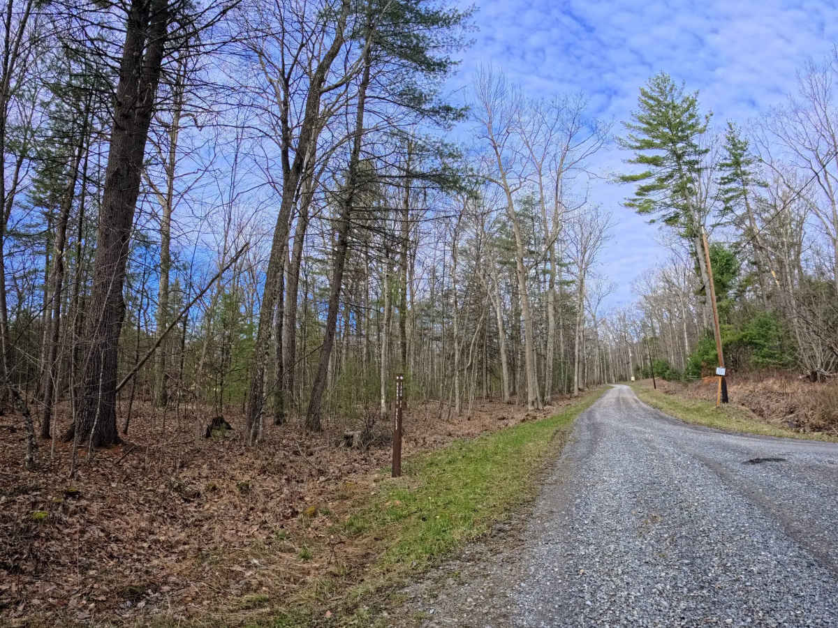White Deer Road photo 6