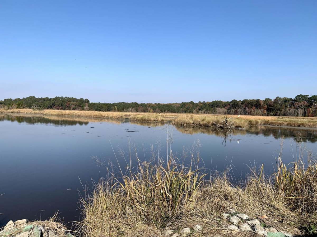 Donnelly Wildlife Management Area photo 5