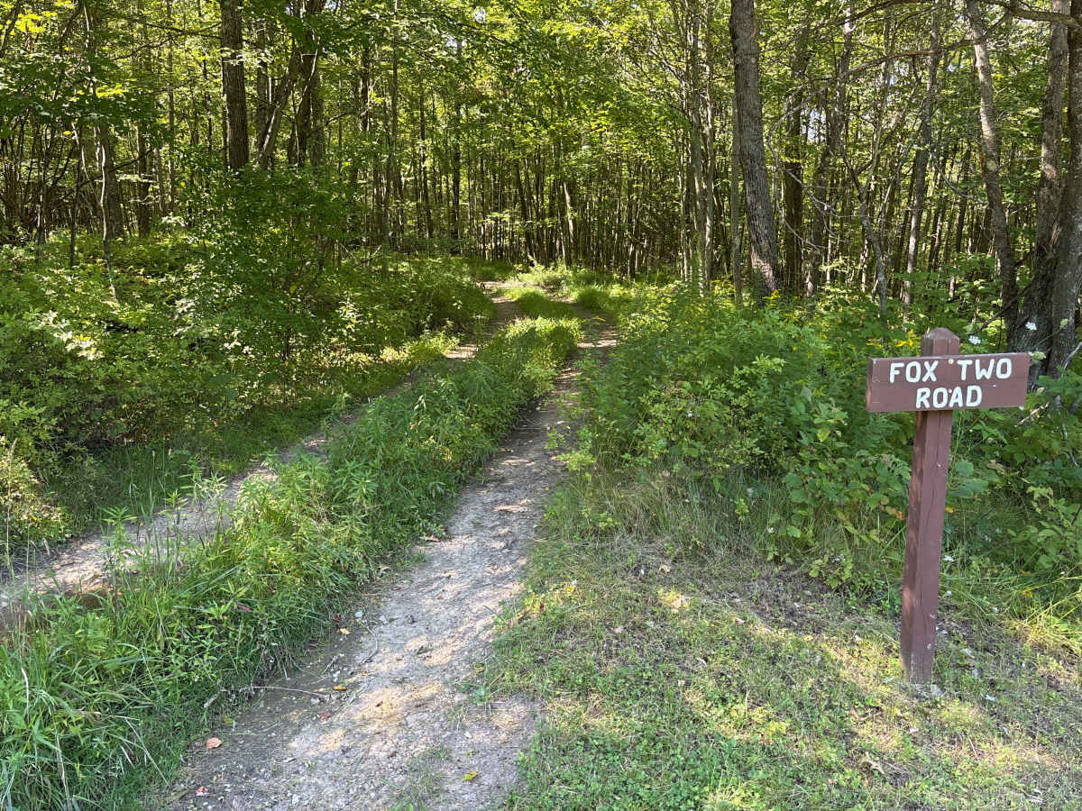 Fox Two Road trail photo