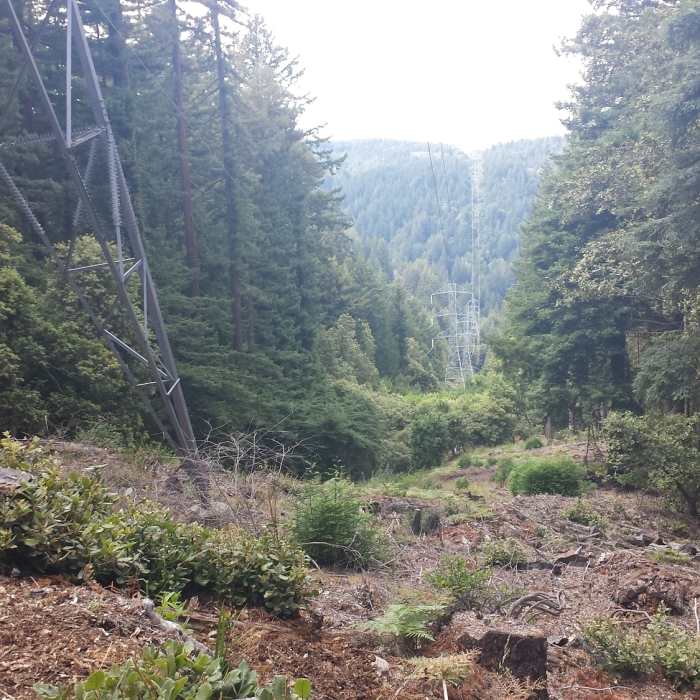 Near Skyline Trail