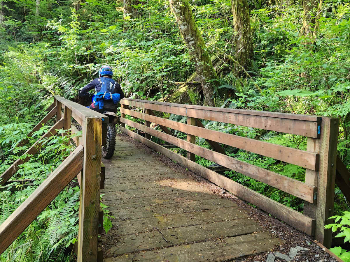 Divide Trail South photo 5