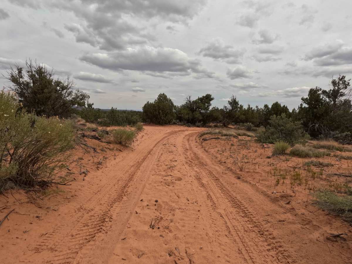 BLM 63 photo 6