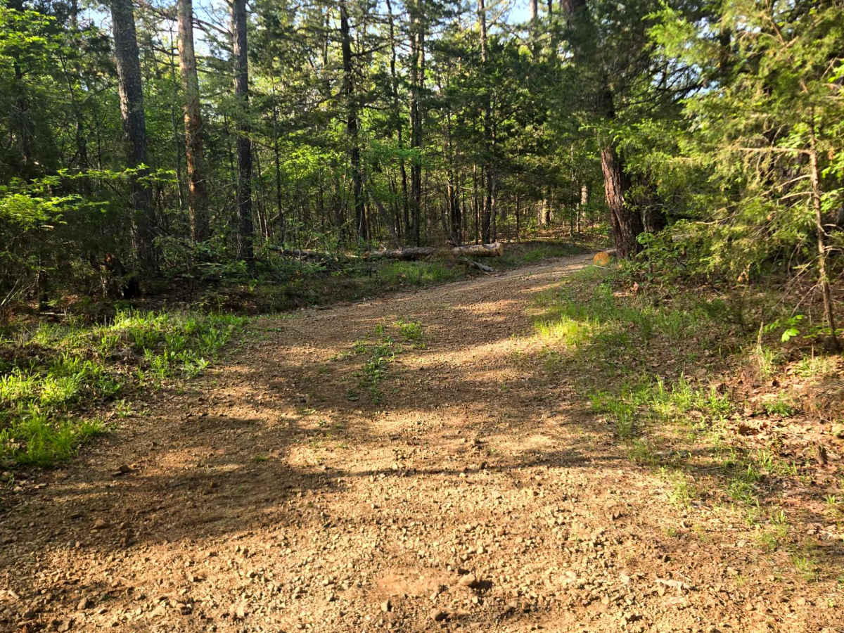 Ford Ridge photo 2